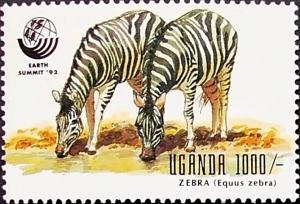 Colnect-5156-600-Zebra-Equus-zebra.jpg