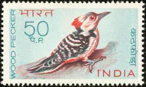 Colnect-2526-928-Himalayan-Woodpecker-Dendrocopos-himalayensis.jpg