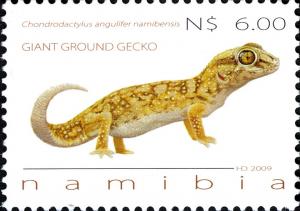 Colnect-3063-360-Common-Giant-Ground-Gecko-Chondrodactylus-angulifer-ssp-na.jpg