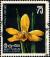 Colnect-1378-980-Ipsea-speciosa---Daffodil-orchid.jpg