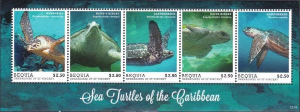 Colnect-4051-102-Various-Species-Turtles-of-Caribbean.jpg