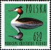 Colnect-1988-417-Great-Crested-Grebe-Podiceps-cristatus.jpg