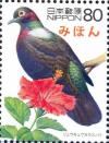 Colnect-2436-018-Ryukyu-s-Silver-banded-Black-Pigeon-Columba-Juyi-Extinct.jpg