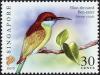 Colnect-2703-700-Blue-throated-Bee-eater-Merops-viridis.jpg