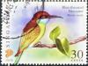 Colnect-3923-133-Blue-throated-Bee-eater-Merops-viridis.jpg