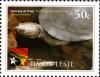 Colnect-4093-816-Timor-Snake-necked-Turtle---Chelodina-timorensis.jpg