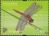 Colnect-6311-986-Common-redbolt-Rhodothemis-rufa.jpg