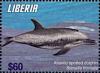 Colnect-7374-169-Atlantic-Spotted-Dolphin-Stenella-frontalis.jpg