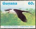 Colnect-1664-636-Swallow-tailed-Kite-Elanoides-forficatus.jpg