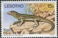 Colnect-2907-609-Yellow-throated-Plated-Lizard-Gerrhosaurus-flavigularis.jpg