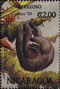 Colnect-4603-273-Brown-throated-Sloth-Bradypus-variegatus.jpg