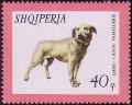Colnect-723-177-Istrian-Shorthaired-Hound-Canis-lupus-familiaris.jpg