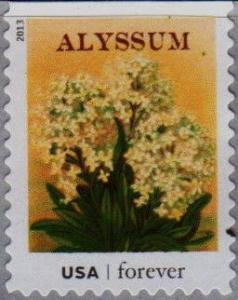 Colnect-1822-281-Seed-Packets-Alyssum.jpg