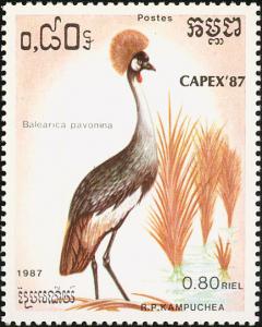 Colnect-1523-496-Black-Crowned-Crane-Balearica-pavonina.jpg