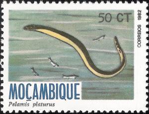 Colnect-1117-086-Yellow-bellied-Sea-Snake-Pelamis-platura.jpg