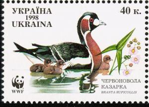 Colnect-1405-437-Red-breasted-Goose-Branta-ruficollis.jpg