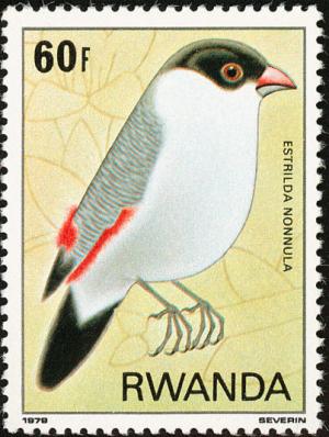 Colnect-1542-695-Black-crowned-Waxbil-Estrilda-nonnula.jpg