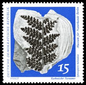 Colnect-1978-882-Carboniferous-Seed-Fern-Sphenopteris-hollandica.jpg