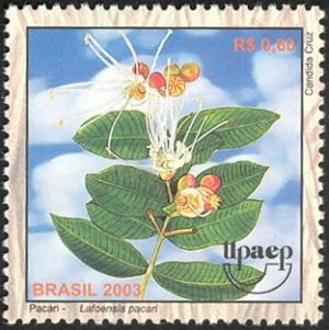 Colnect-546-111-2005-America-Series---Medicinal-plants-of-the-Cerrado---Paca.jpg