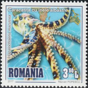 Colnect-5886-872-Southern-Blue-ringed-Octopus-Hapalochlaena-maculosa.jpg