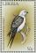 Colnect-1641-830-Swallow-tailed-Kite-Elanoides-forficatus.jpg