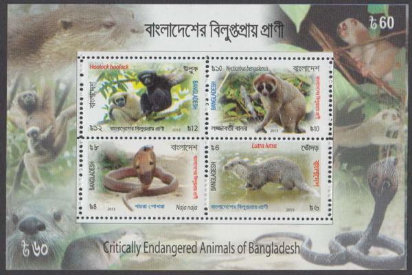Colnect-1720-345-Critically-Endangered-Animals-of-Bangladesh-Perforated.jpg