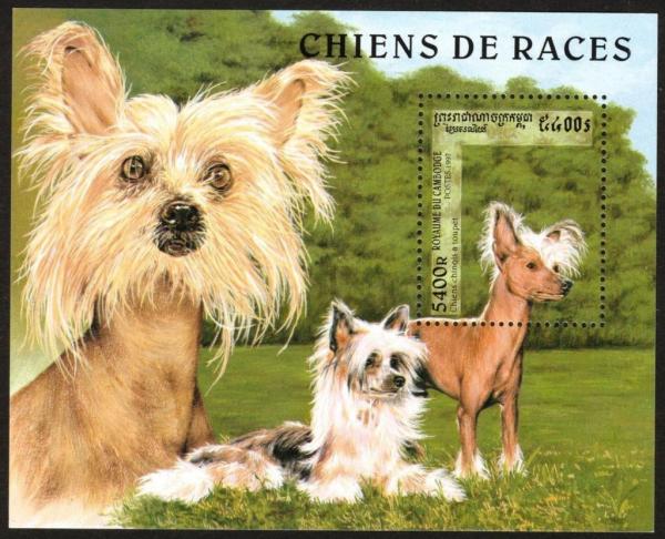 Colnect-3985-468-Chinese-Crested-Dog-Canis-lupus-familiaris.jpg