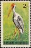Colnect-1156-594-Yellow-billed-Stork-nbsp-Mycteria-ibis.jpg