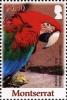 Colnect-1524-206-Green-winged-Macaw-Ara-chloropterus.jpg