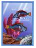 Colnect-3483-402-Redband-parrotfish.jpg