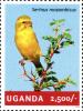 Colnect-4804-845-Yellow-fronted-Canary-Serinus-mozambicus.jpg