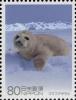 Colnect-4009-598-Spotted-seal-Phoca-largha.jpg