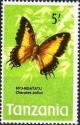 Colnect-1070-019-Black-bordered-Charaxes-Charaxes-pollux.jpg