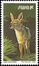 Colnect-5222-264-Black-backed-Jackal-Canis-mesomelas.jpg