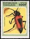 Colnect-2074-409-Longicorn-Beetle-Purpuricenus-kaehleri.jpg