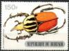 Colnect-2181-127-Mecynorrhina-Beetle-Mecynorrhina-oberthueri.jpg