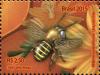Colnect-2978-966-Stingless-Bee-Melipona-quinquefasciata.jpg