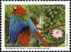 Colnect-468-611-Red-and-green-Macaw-Ara-chloroptera.jpg
