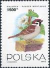 Colnect-4875-072-Eurasian-Tree-Sparrow-Passer-montanus.jpg