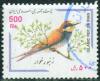 Colnect-499-160-European-Bee-eater-Merops-apiaster.jpg