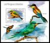 Colnect-6071-180-Little-Bee-eater-Merops-pusillus.jpg