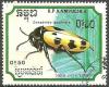 Colnect-832-090-Blister-Beetle-Mylabris-geminata.jpg