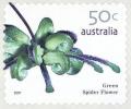 Colnect-5121-191-Green-Spider-Flower.jpg