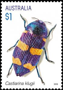 Colnect-3507-588-Jewel-Beetle-Castiarina-klugii.jpg