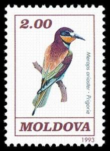 Colnect-348-280-European-Bee-eater-Merops-apiaster.jpg