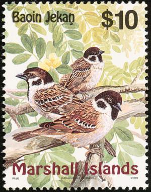 Colnect-1599-544-Eurasian-Tree-Sparrow-Passer-montanus.jpg