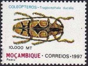 Colnect-2492-889-Longhorn-Beetle-Tragocephala-ducalis.jpg