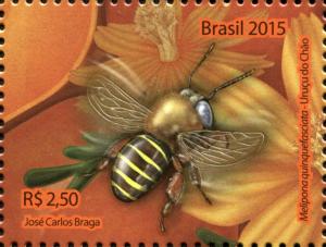 Colnect-2978-966-Stingless-Bee-Melipona-quinquefasciata.jpg