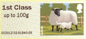 Colnect-3189-537-Suffolk-Sheep-Ovis-orientalis-aries.jpg