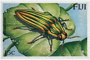 Colnect-3950-023-Jewel-Beetle-Paracupta-sulcata.jpg